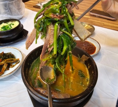 30년전통순이네염소 이미지