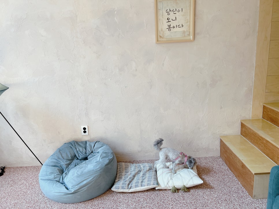 홍천 독채 애견펜션 반스힐리조트, 반려견과 함께하는 완벽한 휴식 — 사진 15