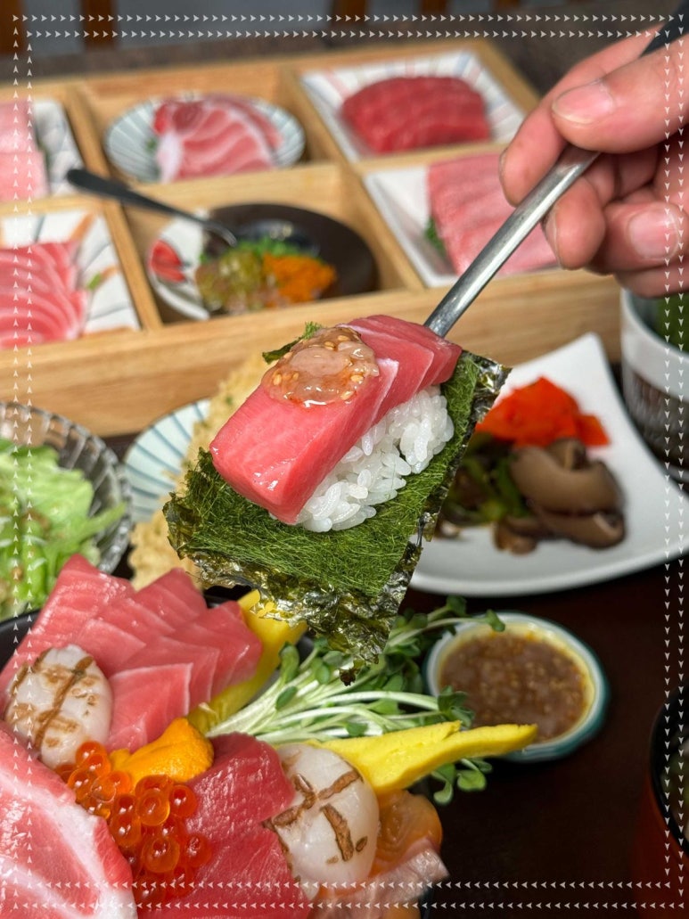 카메참치 이미지