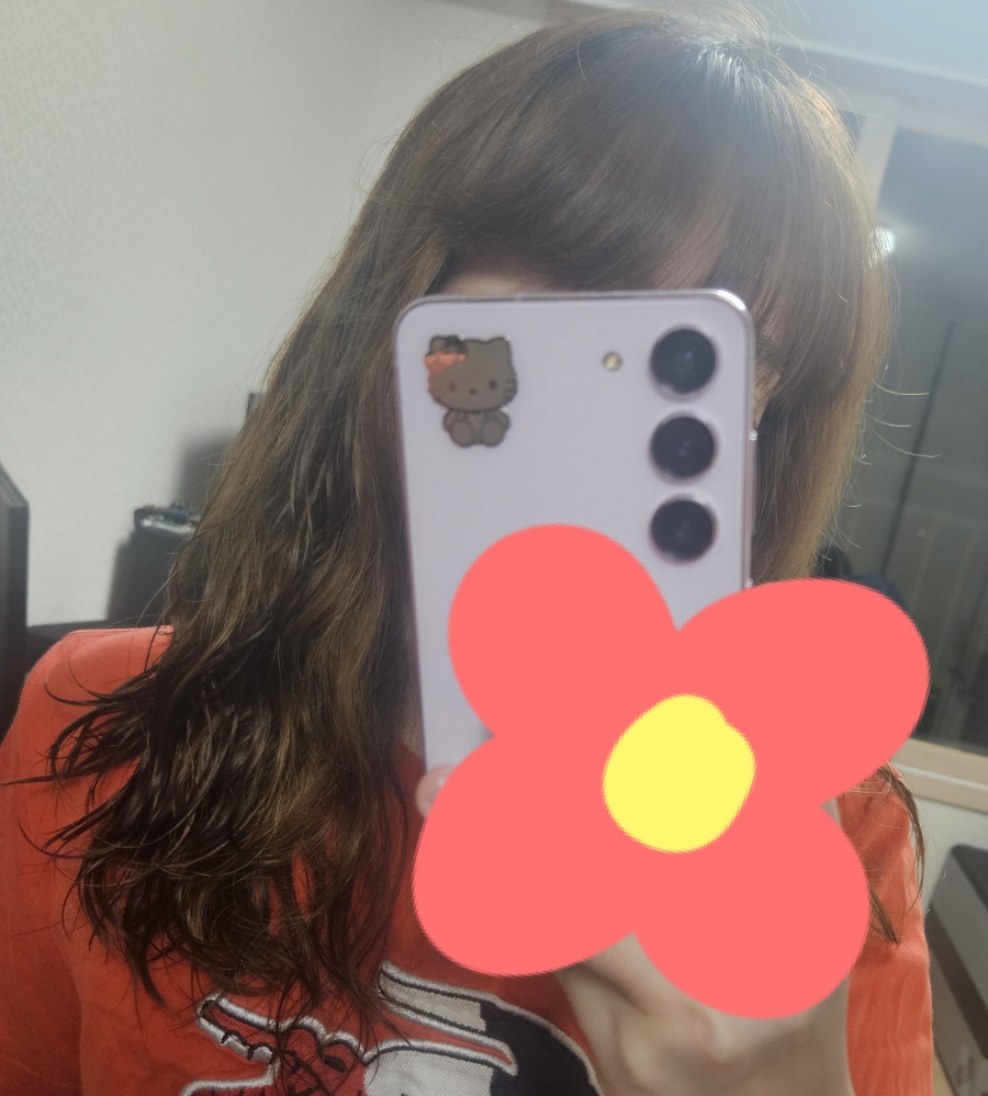 엘2알 이미지