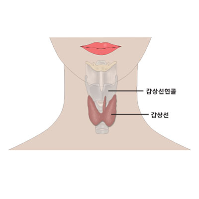 양평요양병원 이미지