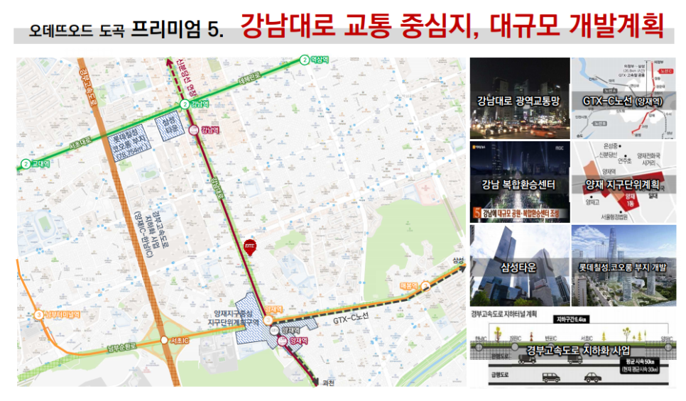 오데뜨 이미지