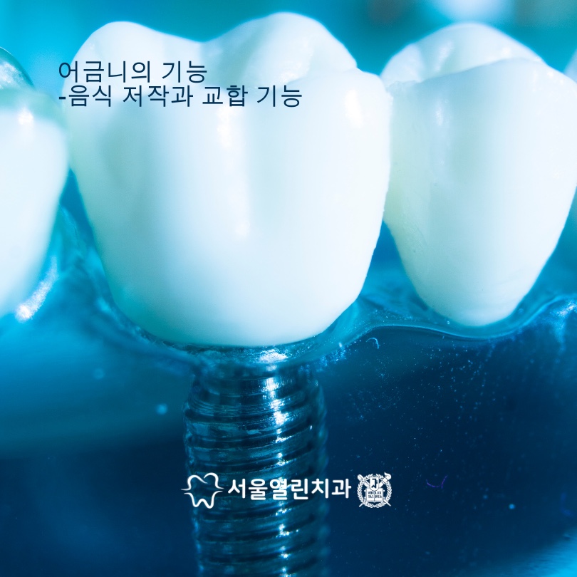 미래열린치과 이미지