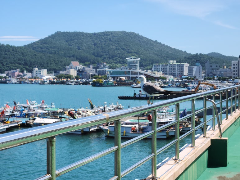 다도해해상국립공원 구계등야영장 이미지