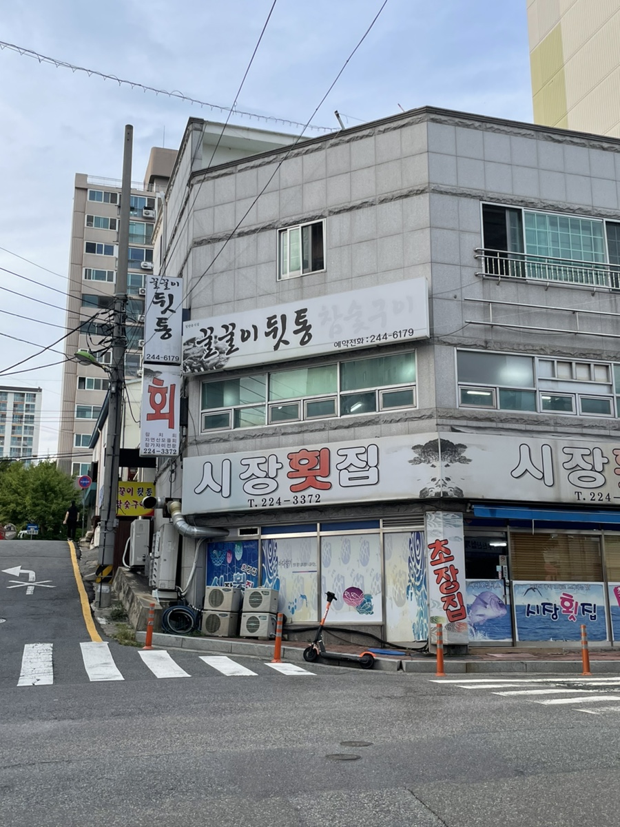 왔다뒷통 이미지