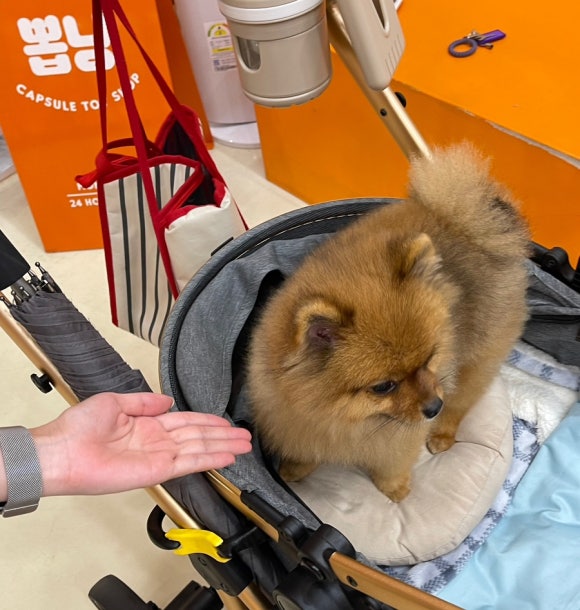 구십오도씨 이미지
