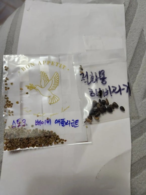 키맘 이미지