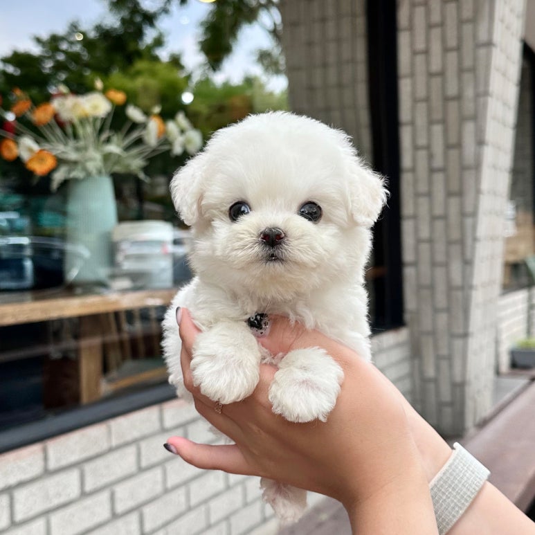 아이러브아이센터 이미지