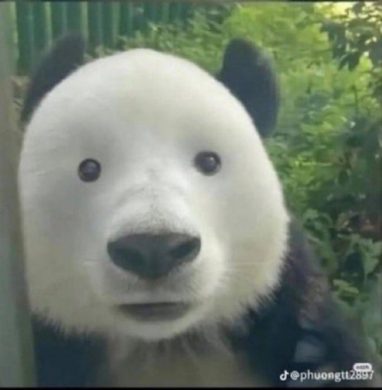 늘새로와 이미지