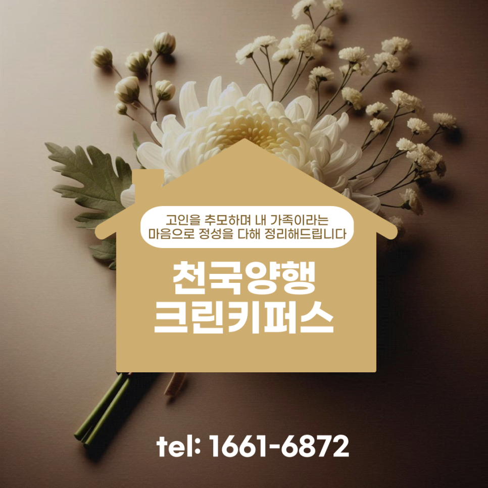 천국양행 이미지