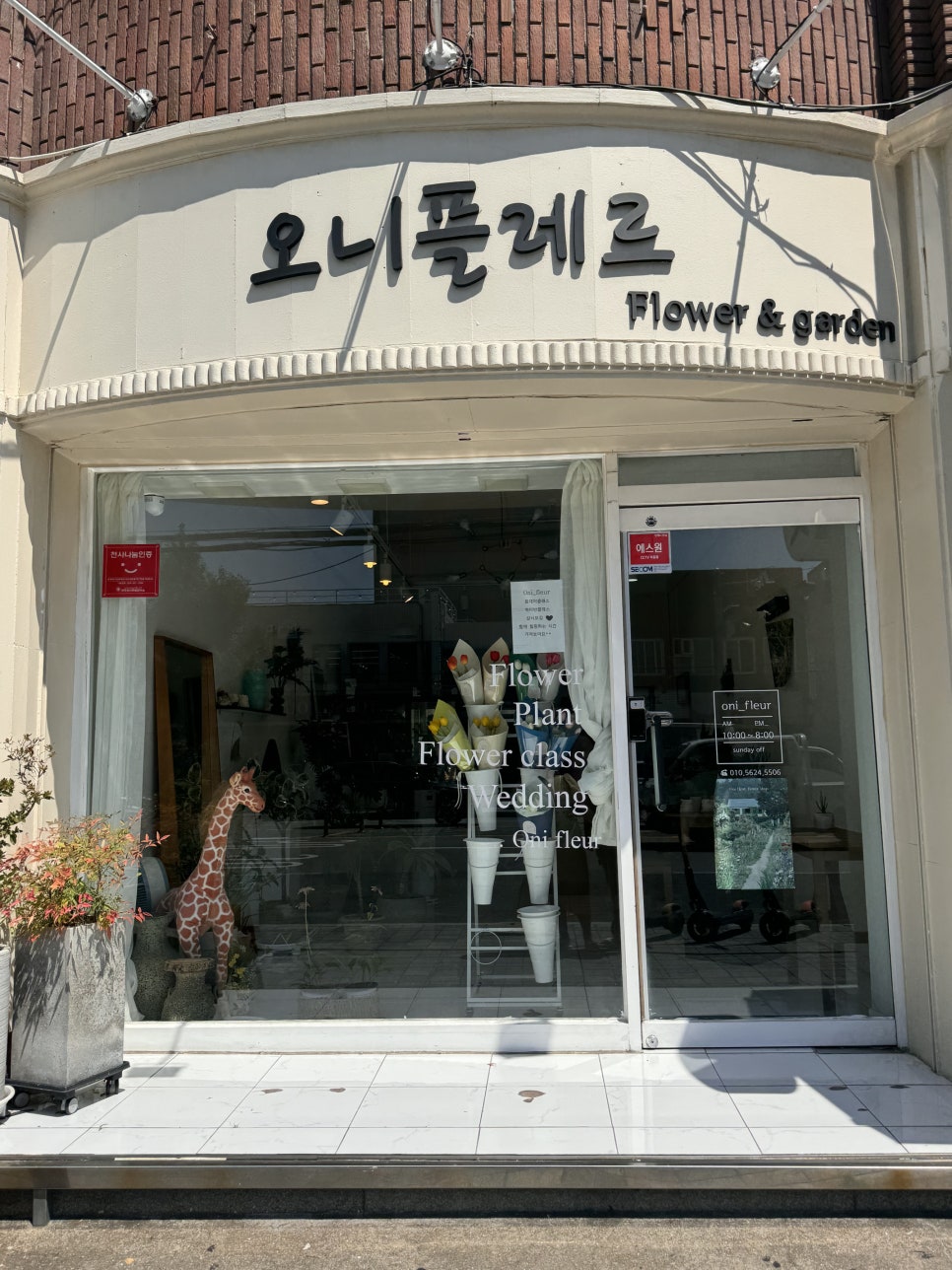 오니플레르 이미지