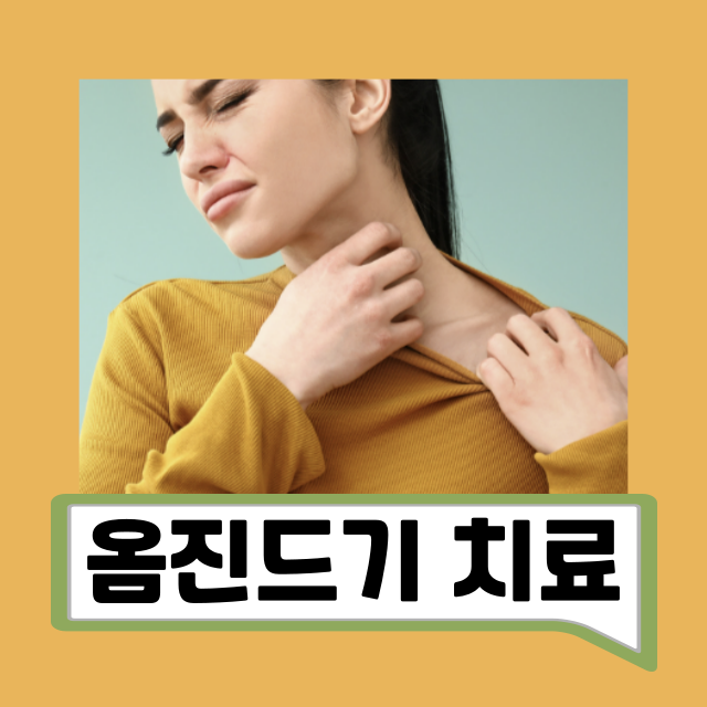 옴진드기치료 및 피부 증상 확인 방법 옴 전염 원인과 올바른 대처법 : 네이버 블로그