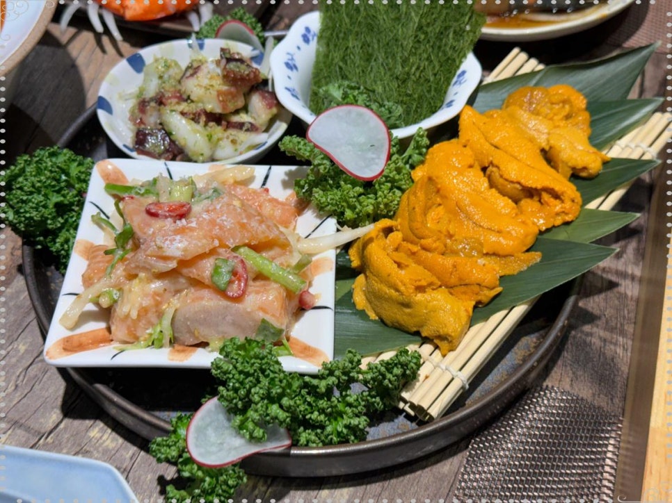 카메참치 이미지