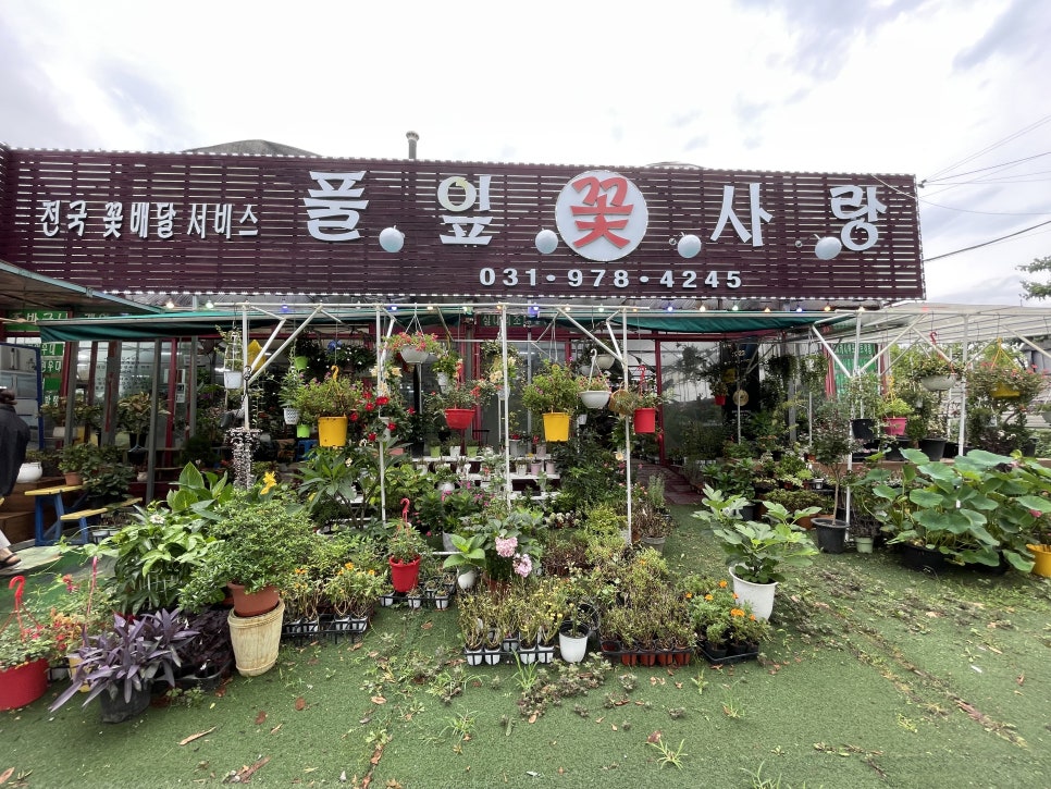 풀잎사랑화원 이미지