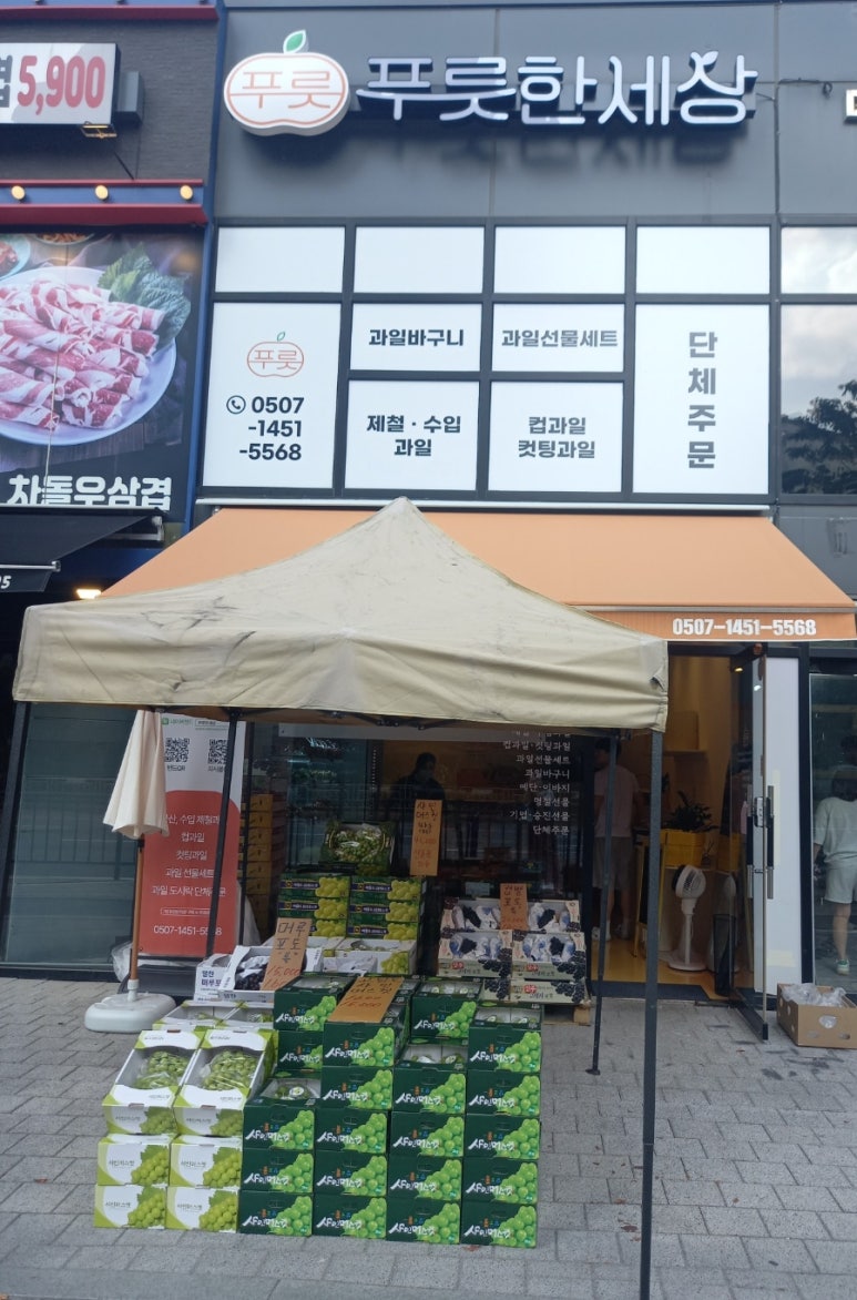푸룻한세상 이미지