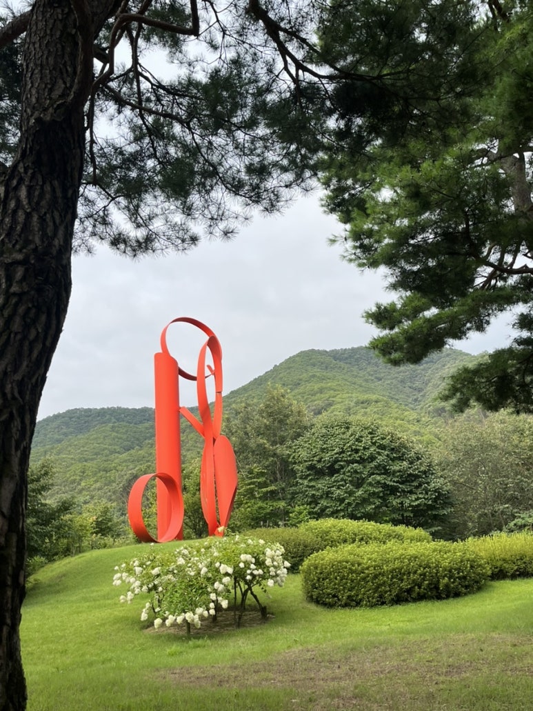 노스커피센터 이미지