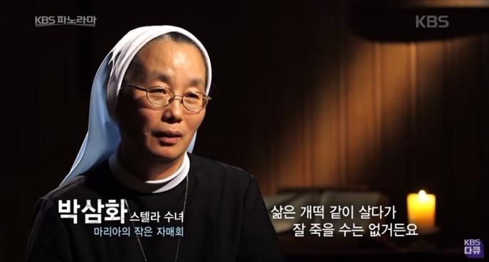 (주)스파크랜드 이미지