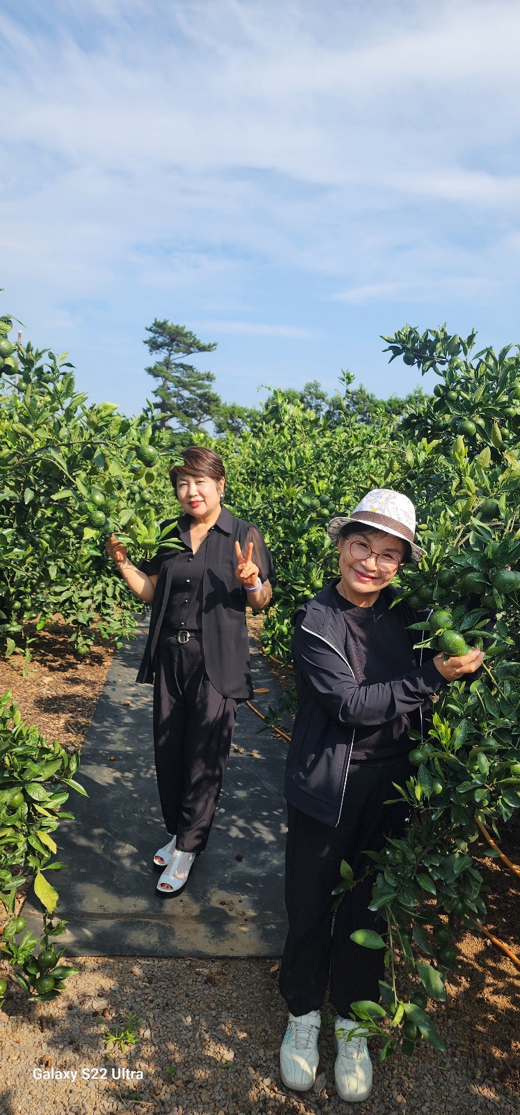 정석농장 이미지