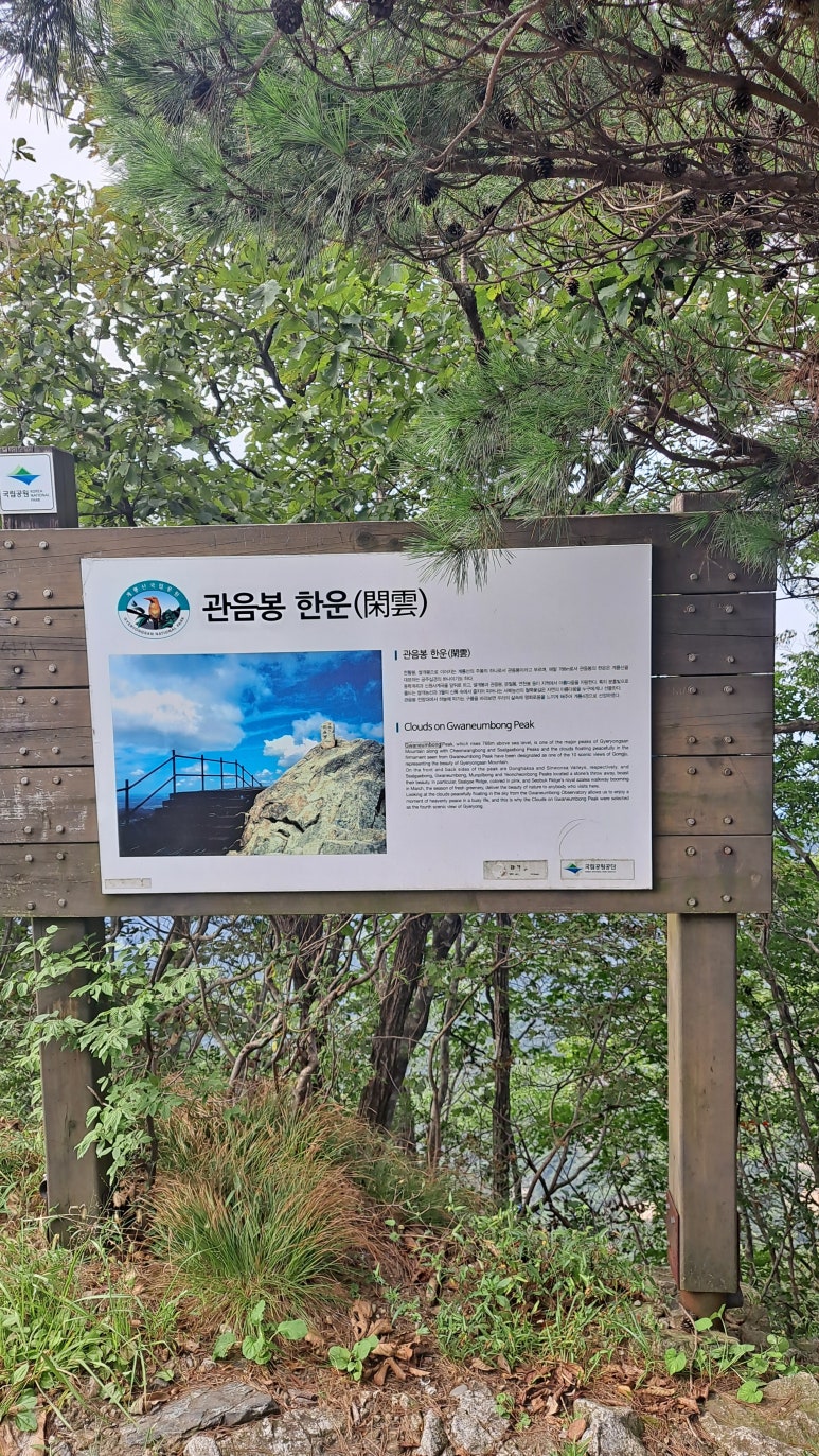 관음봉 한운 이미지