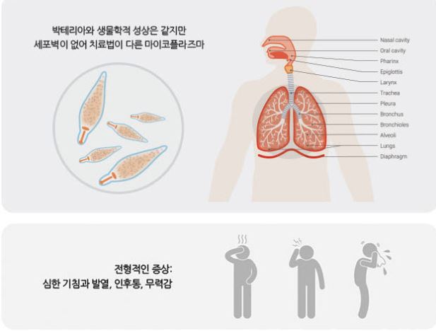 오율의원마곡 이미지