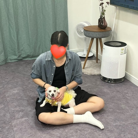 안현로282 이미지