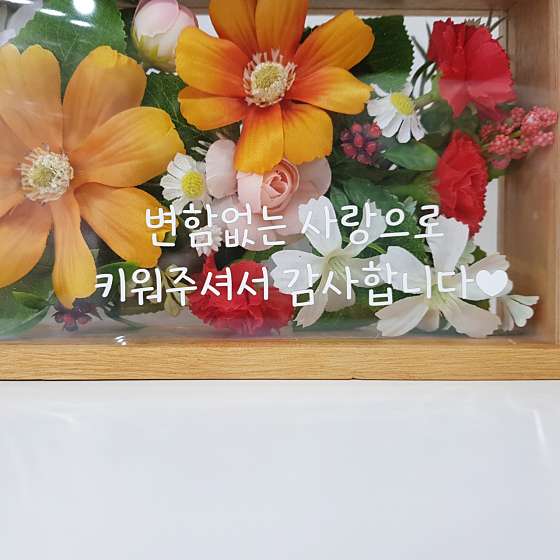 라이블리블룸 이미지