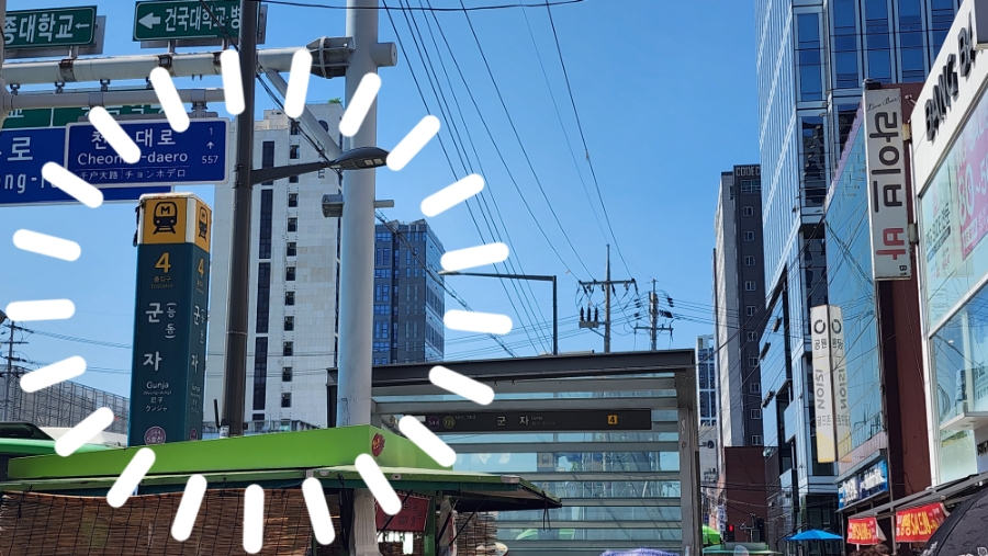 에스바디바 이미지