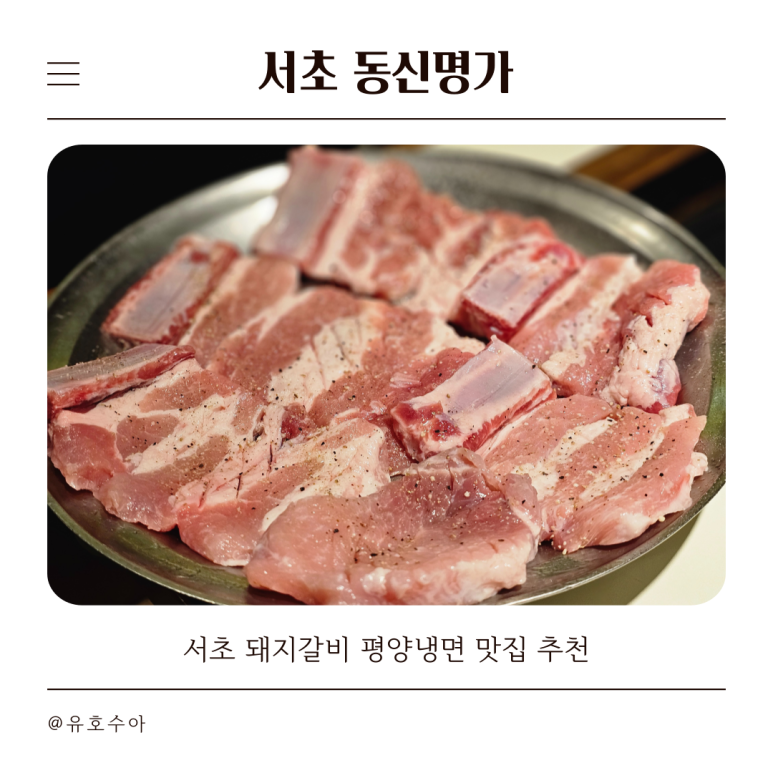 동신명가 이미지