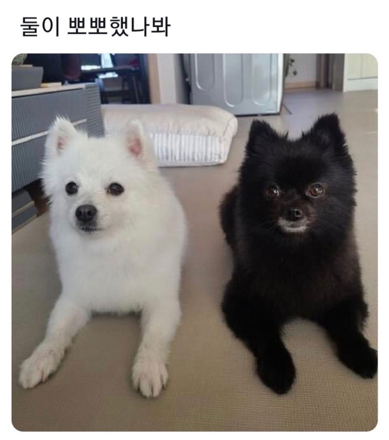 여주정육점 이미지