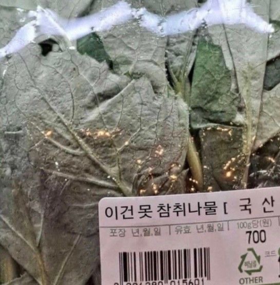 스프링폴스튜디오 이미지