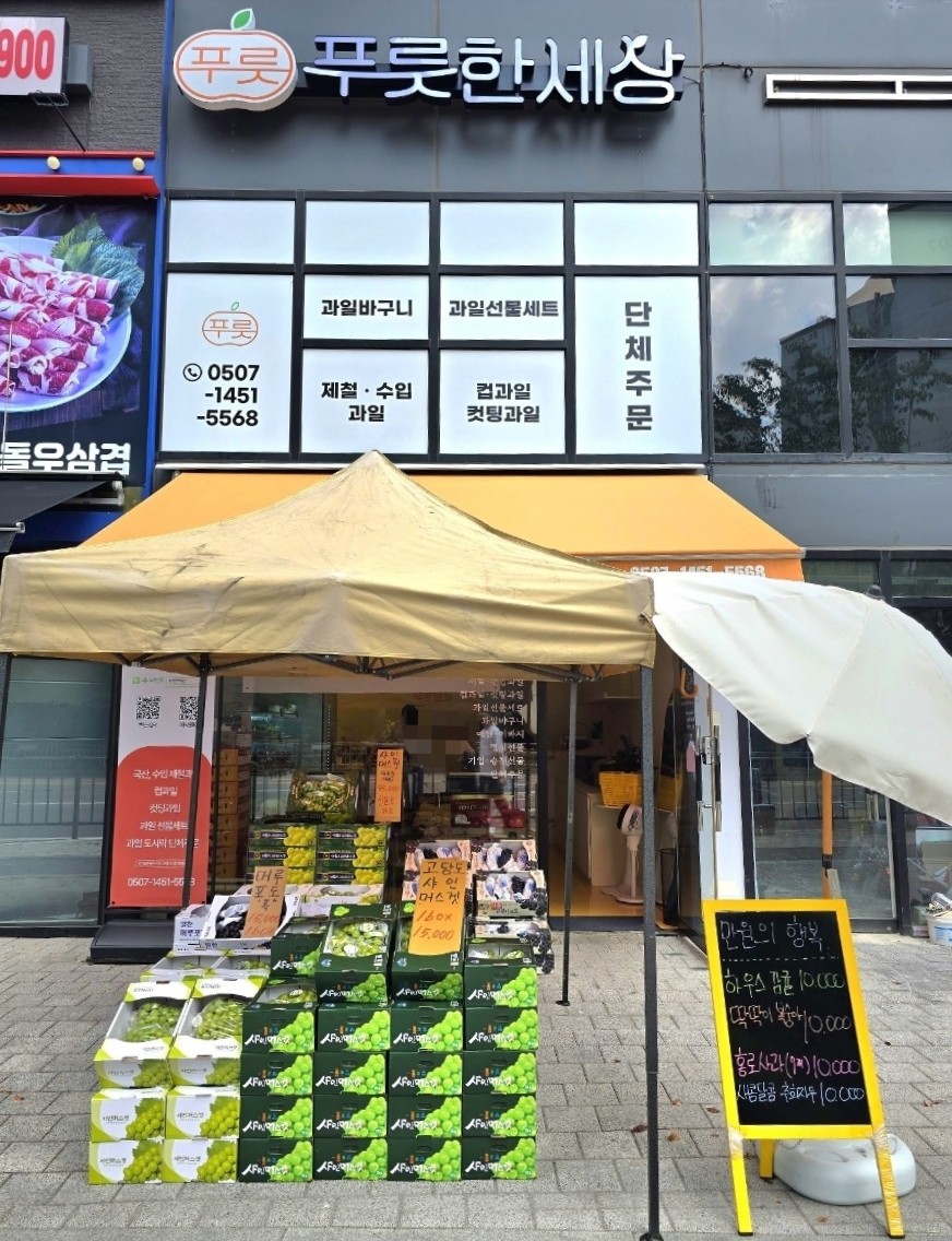 푸룻한세상 이미지