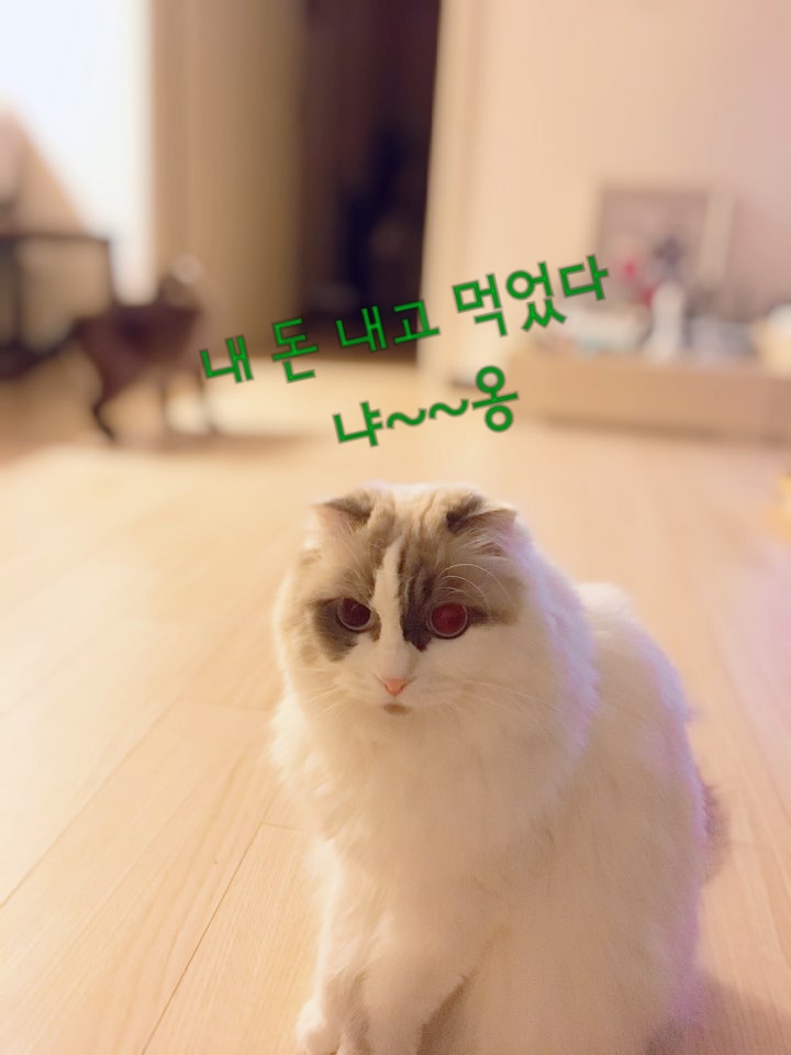 김선장참치 이미지