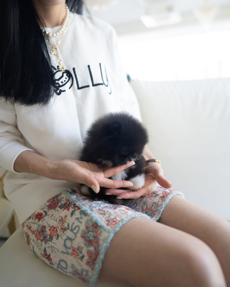 블랙파티 이미지