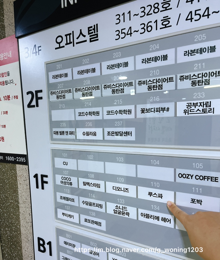 루스파 이미지