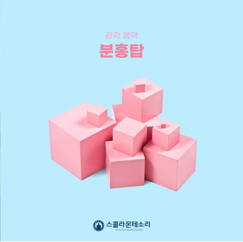 스콜라몬테소리고양 이미지