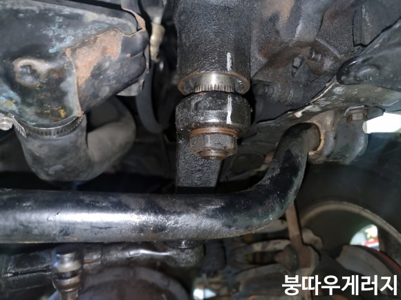 붕따우게러지 이미지