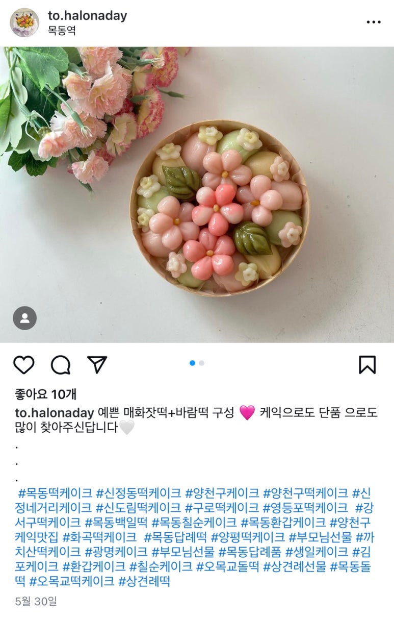 할로나데이 이미지