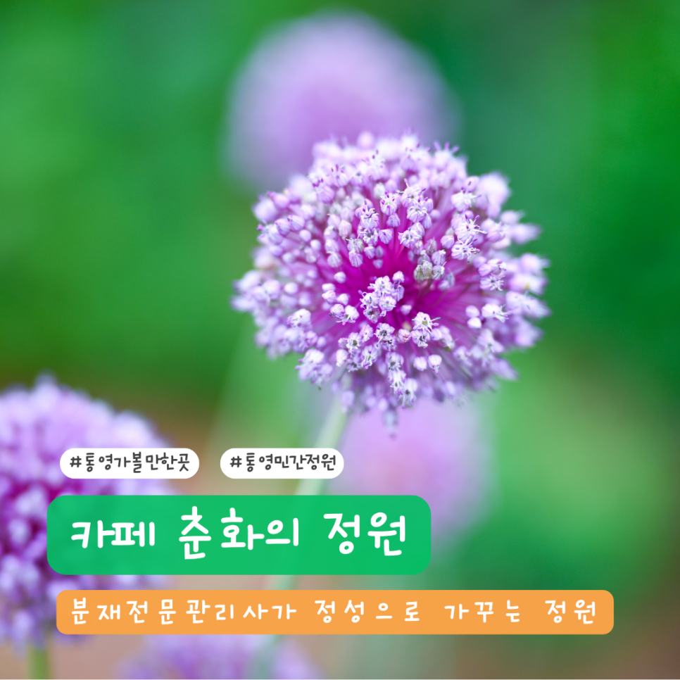 카페춘화의정원 이미지