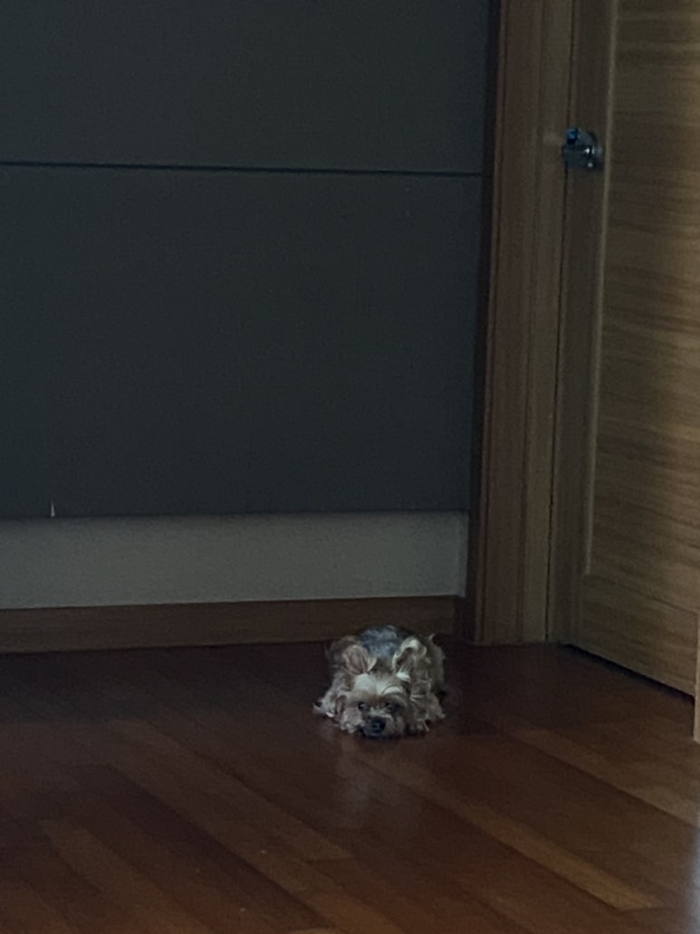 김이케이크샵 이미지