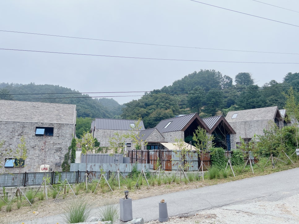 홍천 독채 애견펜션 반스힐리조트, 반려견과 함께하는 완벽한 휴식 — 사진 4