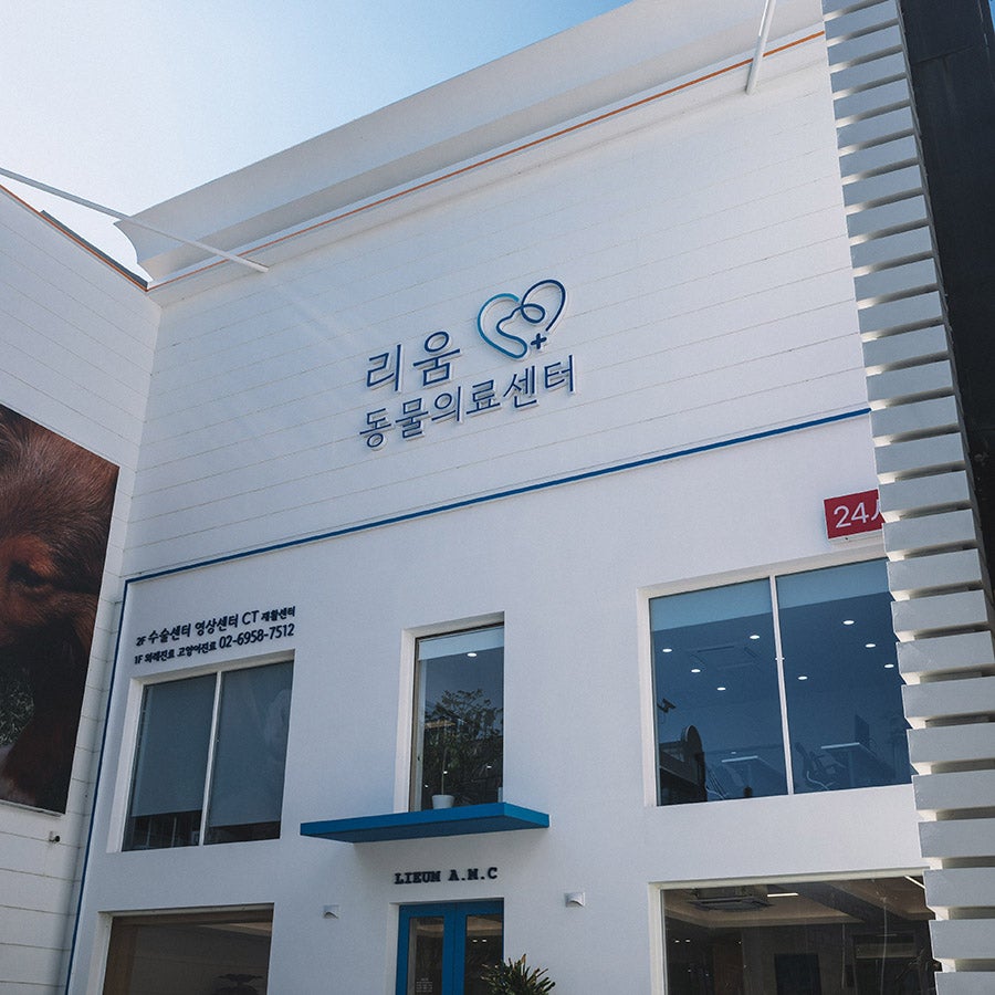 잠실 강아지 건강검진, 리움동물의료센터 종합 검진 비용 및 후기 — 사진 4