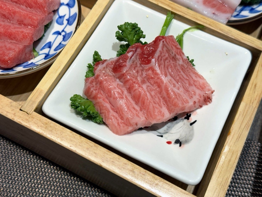 카메참치 이미지