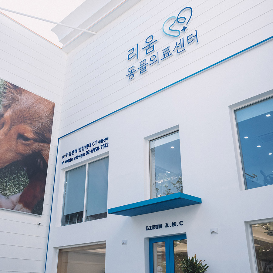 잠실 강아지 건강검진, 리움동물의료센터 종합 검진 비용 및 후기 — 사진 2