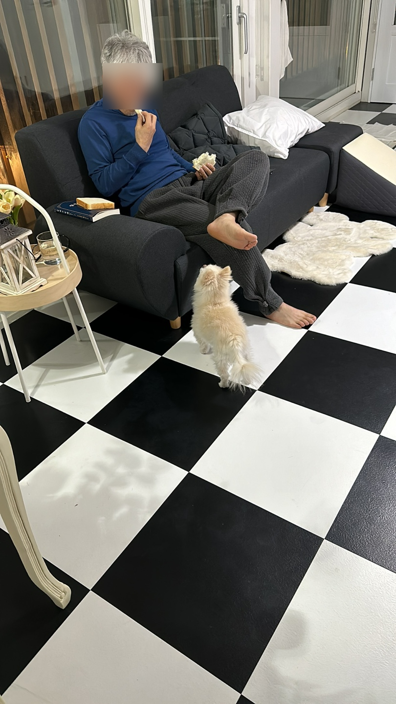 두지네윗집 이미지