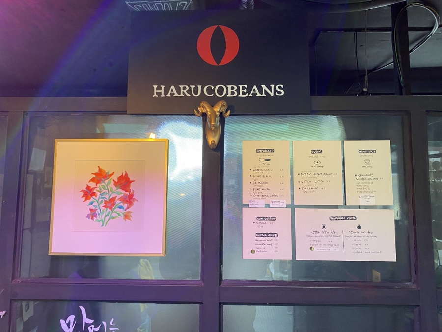 하루코빈스 이미지