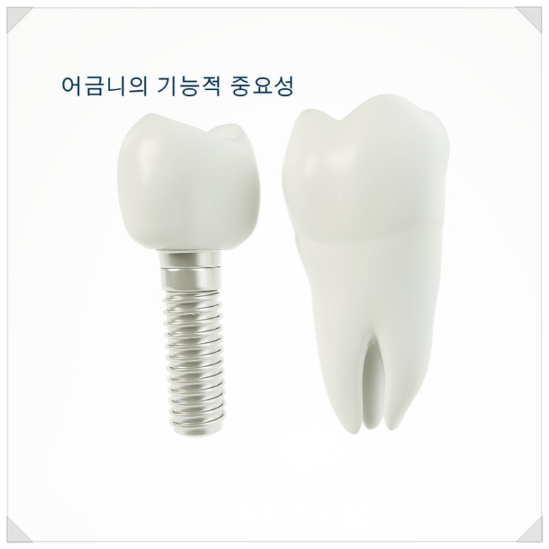서울열린치과의원 이미지