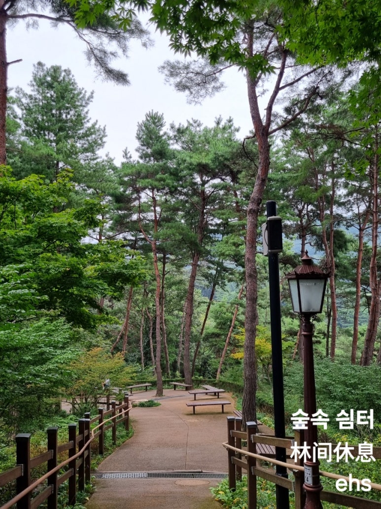 숲속의쉼터 이미지