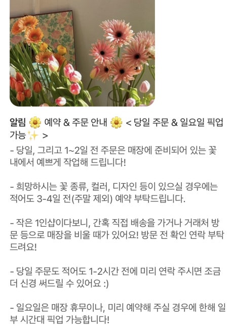 로지마이포지 이미지