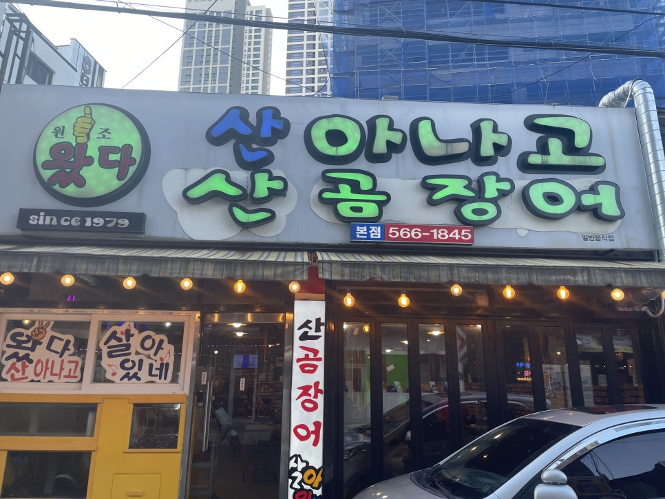 왔다산아나고 이미지