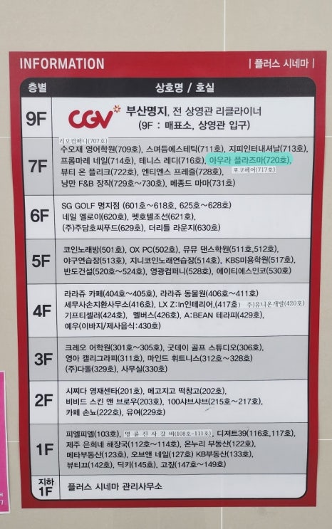아우라 플라즈마 이미지